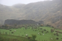 Countryside Ireland 1